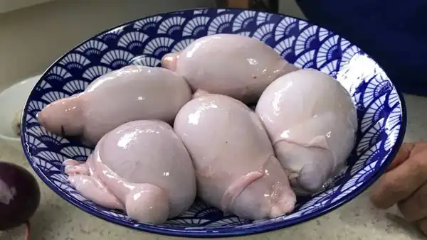 عوارض دنبلان خیراندیش در طب سنتی برای مردان و زنان