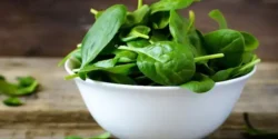 عوارض اسفناج خیراندیش در طب سنتی برای مردان و زنان
