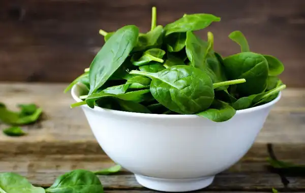 عوارض اسفناج خیراندیش در طب سنتی برای مردان و زنان