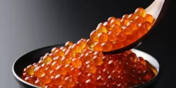 عوارض اشپل ماهی خیراندیش در طب سنتی برای مردان و زنان