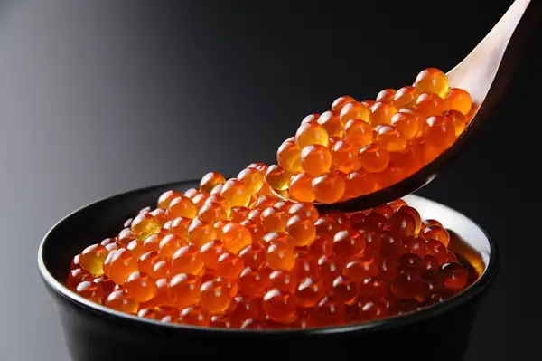عوارض اشپل ماهی خیراندیش در طب سنتی برای مردان و زنان