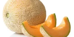 عوارض گرمک خیراندیش در طب سنتی برای مردان و زنان