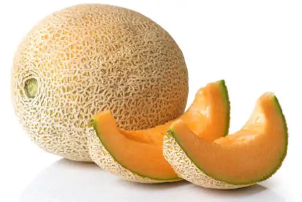 عوارض گرمک خیراندیش در طب سنتی برای مردان و زنان