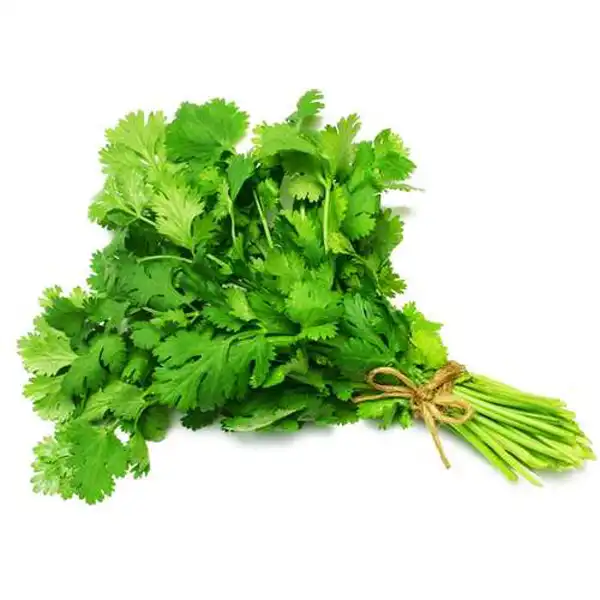 عوارض گشنیز خیراندیش در طب سنتی برای مردان و زنان