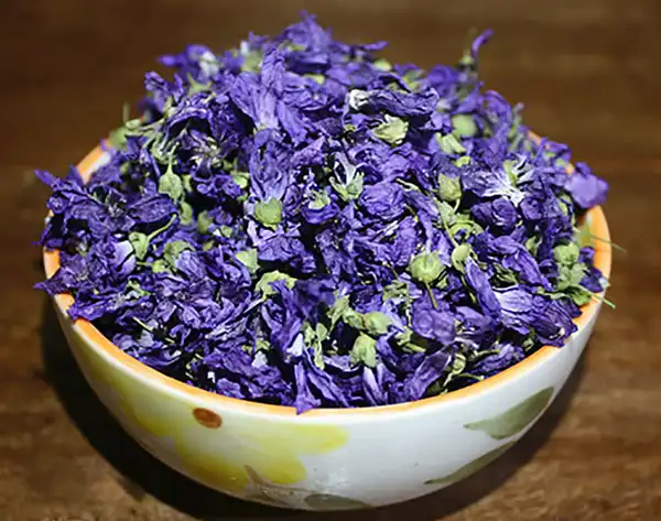 عوارض گل ختمی خیراندیش در طب سنتی برای مردان و زنان