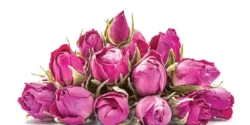 عوارض گل محمدی خیراندیش در طب سنتی برای مردان و زنان