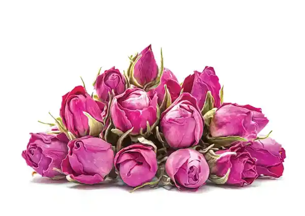 عوارض گل محمدی خیراندیش در طب سنتی برای مردان و زنان