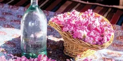 عوارض گلاب خیراندیش در طب سنتی برای مردان و زنان