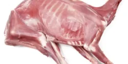 عوارض گوشت قوچ خیراندیش در طب سنتی برای مردان و زنان