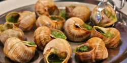 عوارض گوشت حلزون خیراندیش در طب سنتی برای مردان و زنان