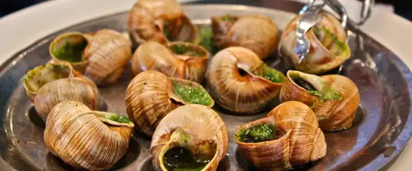 عوارض گوشت حلزون خیراندیش در طب سنتی برای مردان و زنان