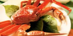 عوارض گوشت خرچنگ خیراندیش در طب سنتی برای مردان و زنان