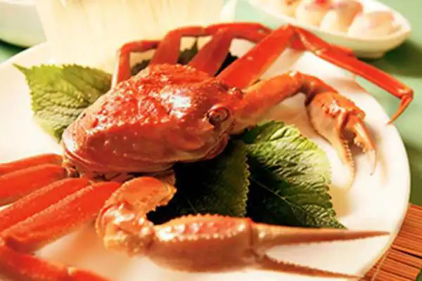 عوارض گوشت خرچنگ خیراندیش در طب سنتی برای مردان و زنان