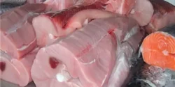 عوارض گوشت کوسه خیراندیش در طب سنتی برای مردان و زنان