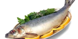 عوارض گوشت ماهی خیراندیش در طب سنتی برای مردان و زنان