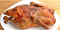 عوارض گوشت اردک خیراندیش در طب سنتی برای مردان و زنان