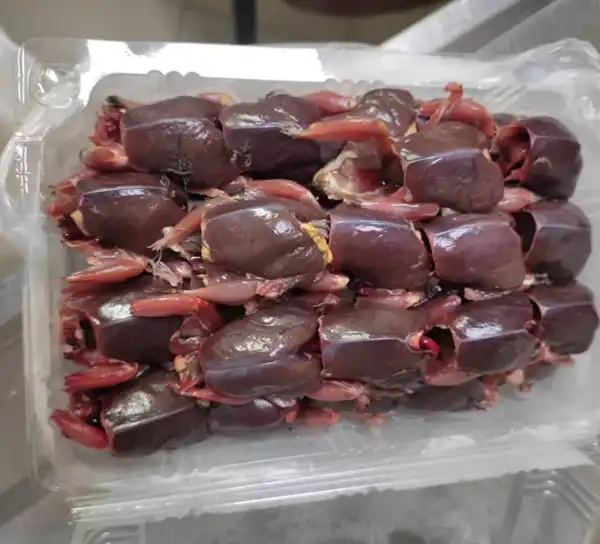 عوارض گوشت پرندگان وحشی خیراندیش در طب سنتی برای مردان و زنان