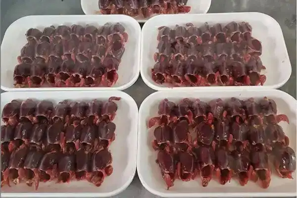 عوارض گوشت سار خیراندیش در طب سنتی برای مردان و زنان