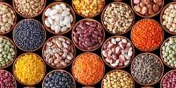 عوارض حبوبات خیراندیش در طب سنتی برای مردان و زنان