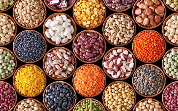 عوارض حبوبات خیراندیش در طب سنتی برای مردان و زنان