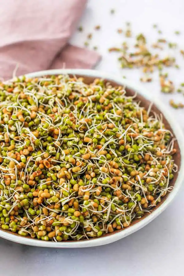 عوارض جوانه ارزن خیراندیش در طب سنتی برای مردان و زنان