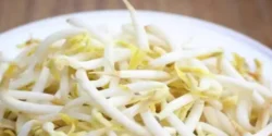 عوارض جوانه سویا خیراندیش در طب سنتی برای مردان و زنان