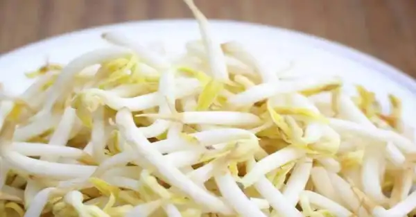 عوارض جوانه سویا خیراندیش در طب سنتی برای مردان و زنان