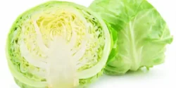 عوارض کلم برگ خیراندیش در طب سنتی برای مردان و زنان