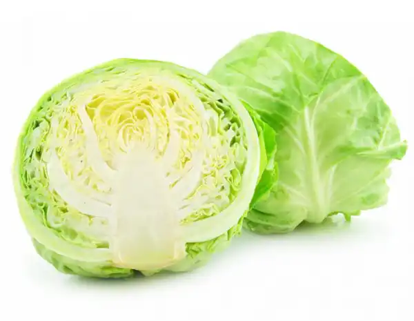 عوارض کلم برگ خیراندیش در طب سنتی برای مردان و زنان