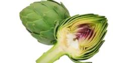 عوارض کنگر فرنگی خیراندیش در طب سنتی برای مردان و زنان