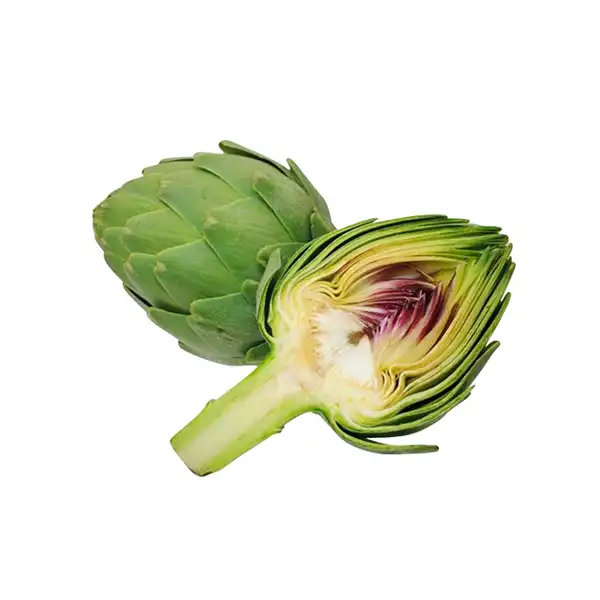 عوارض کنگر فرنگی خیراندیش در طب سنتی برای مردان و زنان