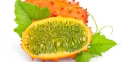 عوارض خربزه شاخدار خیراندیش در طب سنتی برای مردان و زنان
