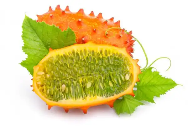 عوارض خربزه شاخدار خیراندیش در طب سنتی برای مردان و زنان