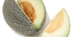عوارض خربزه سوسکی خیراندیش در طب سنتی برای مردان و زنان