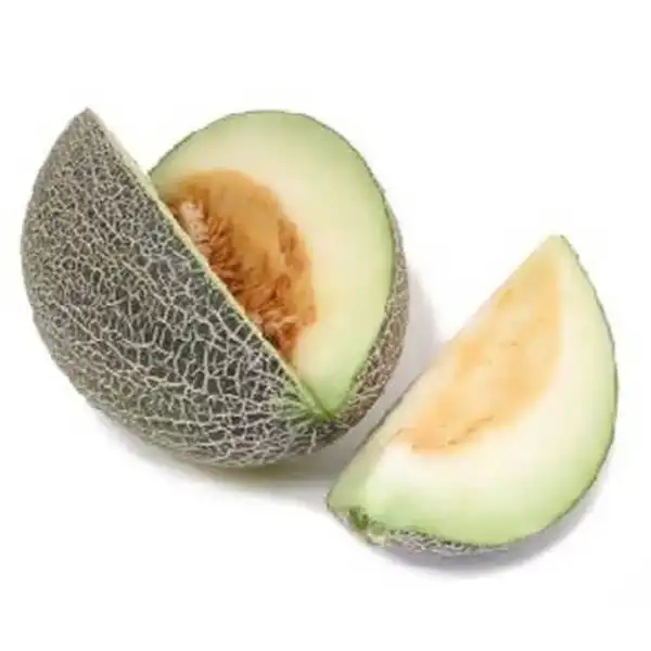 عوارض خربزه سوسکی خیراندیش در طب سنتی برای مردان و زنان