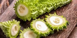 عوارض خربزه تلخ خیراندیش در طب سنتی برای مردان و زنان