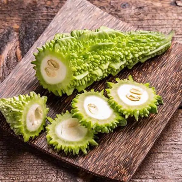 عوارض خربزه تلخ خیراندیش در طب سنتی برای مردان و زنان