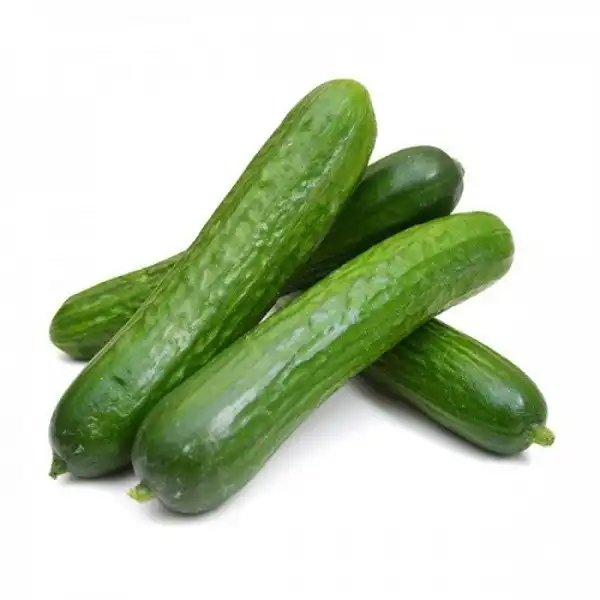 عوارض خیار سبز خیراندیش در طب سنتی برای مردان و زنان