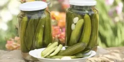 عوارض خیار شور خیراندیش در طب سنتی برای مردان و زنان