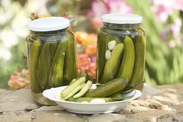 عوارض خیار شور خیراندیش در طب سنتی برای مردان و زنان