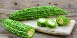 عوارض خیار تلخ خیراندیش در طب سنتی برای مردان و زنان