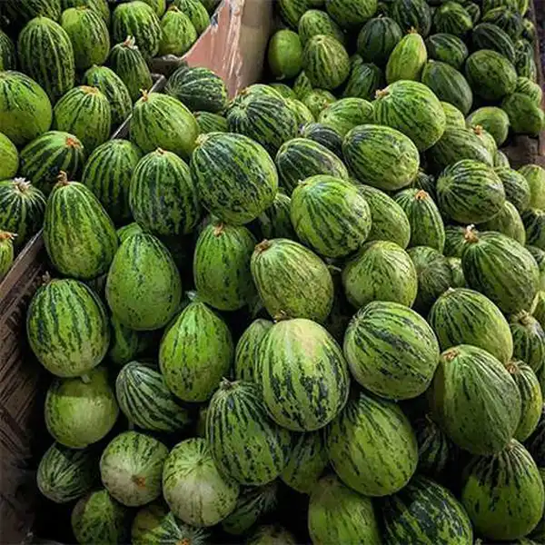 عوارض کمبزه خیراندیش در طب سنتی برای مردان و زنان
