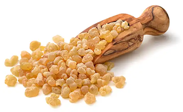 عوارض کندر خیراندیش در طب سنتی برای مردان و زنان