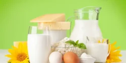 عوارض لبنیات خیراندیش در طب سنتی برای مردان و زنان