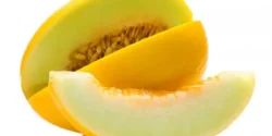 عوارض ملون خیراندیش در طب سنتی برای مردان و زنان