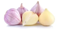 عوارض موسیر خیراندیش در طب سنتی برای مردان و زنان