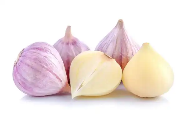 عوارض موسیر خیراندیش در طب سنتی برای مردان و زنان