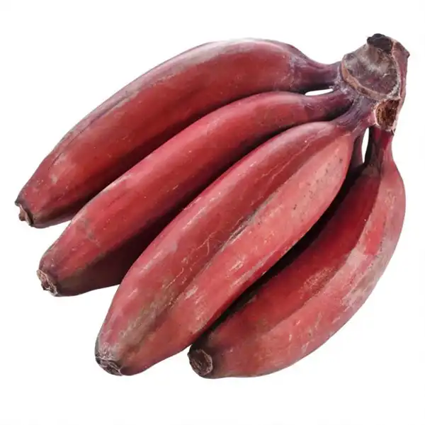 عوارض موز قرمز خیراندیش در طب سنتی برای مردان و زنان