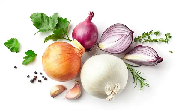 عوارض پیاز خیراندیش در طب سنتی برای مردان و زنان