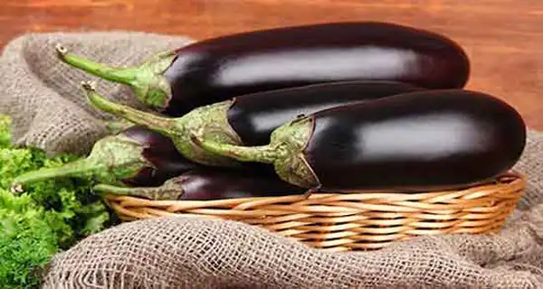 عوارض پوست بادمجان+ خیراندیش در طب سنتی برای مردان و زنان